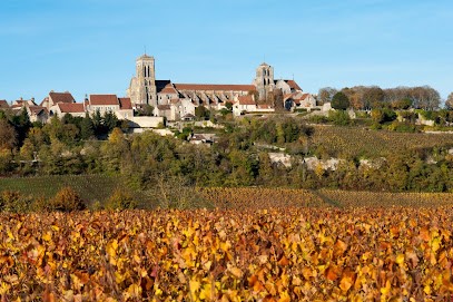 Domaine Martin Barbieux - Cellier de l'abbaye, Vignoble à Vézelay