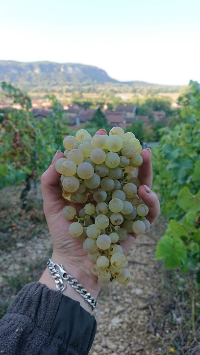 Domaine De La Pouponne, Vignoble à Saint-Sorlin-en-Bugey