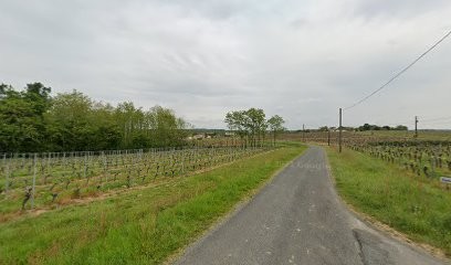 Château Haut Sandrot, Vignoble à Soulignac