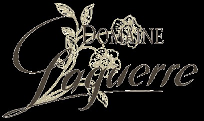 Domaine Laguerre, Vignoble à Saint-Martin-de-Fenouillet