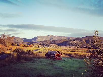 MAS CONSCIENCE, Vignoble à Saint-Jean-de-Fos