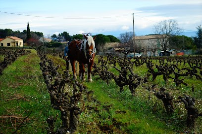 Mas de Libian, Vignoble à Saint-Marcel-d'Ardèche