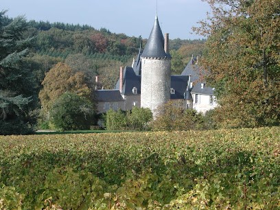 Château De Tracy, Vignoble à Tracy-sur-Loire