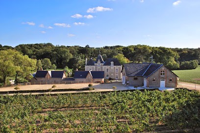 Château de la Mulonière, Vignoble à Beaulieu-sur-Layon