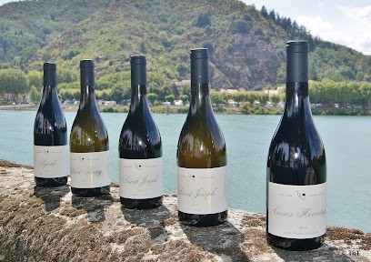 Famille Cecillon, Vignoble à Saint-Jean-de-Muzols