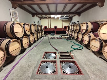 Domaine De L'Épinay - Earl PAQUEREAU, Vignoble à Clisson