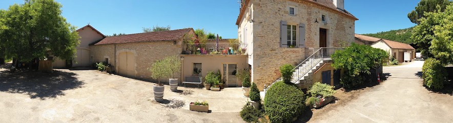 Domaine des Gravalous, Vignoble à Pescadoires