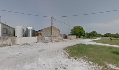 Laval Earl, Vignoble à Saint-Même-les-Carrières