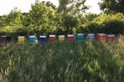 Le Clos Férout, Vignoble au Heaulme