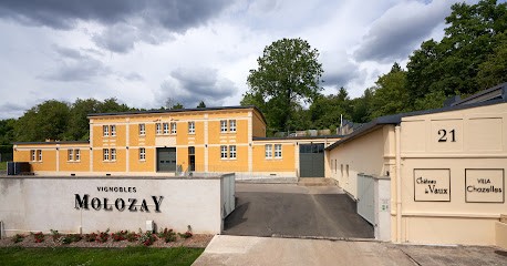 Château De Vaux - Vignobles Molozay, Vignoble à Scy-Chazelles