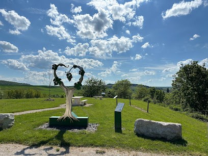 Billette Daniel, Vignoble à Urville