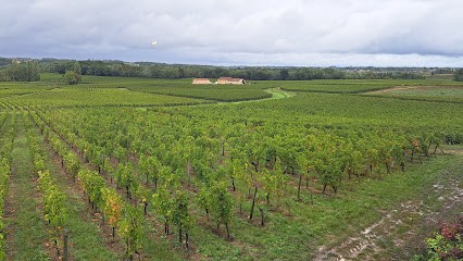 Château Haut Veyrac, Vignoble à Saint-Étienne-de-Lisse