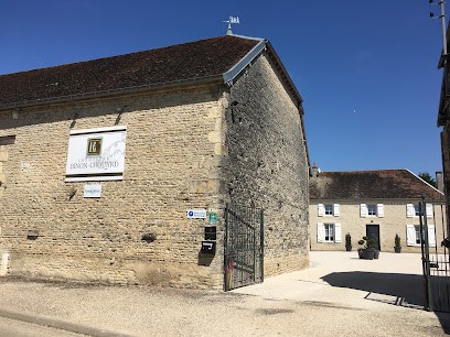 Champagne Binon Coquard, Vignoble à Spoy