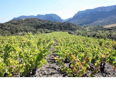 Le Mas De La Lune, Vignoble à Saint-Paul-de-Fenouillet