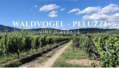 Cave Waldvogel - Peluzzi, Vignoble à Wettolsheim