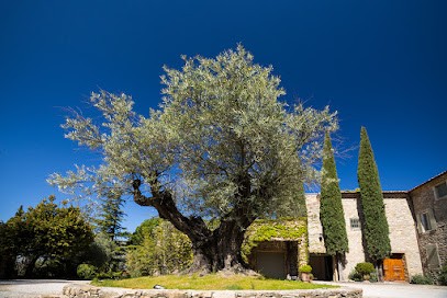 Château Courac, Vignoble à Tresques