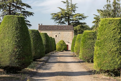 Domaine D'Argilius, Vignoble à Saint-Philippe-d'Aiguille