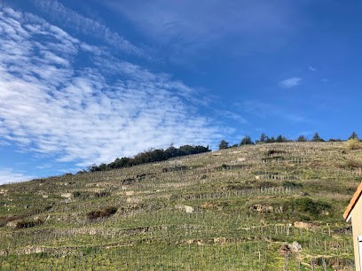 Domaine De La Côte Sainte Épine, Vignoble à Saint-Jean-de-Muzols