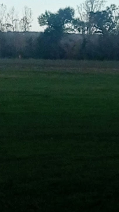 Chateau De Ribebon, Vignoble à Pessac-sur-Dordogne