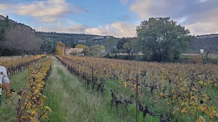 Mas Gourdou, Vignoble à Valflaunès