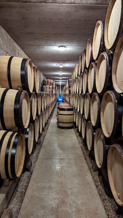 Domaine David Duband, Vignoble à Chevannes