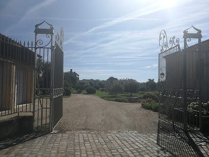 Château la Vaisinerie, Vignoble à Puisseguin