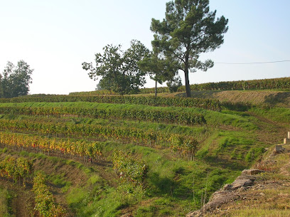 Château Grimon Vignoble à Saint-Philippe-d'Aiguille