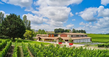 La Maison Cardinale [Château Fleur Cardinale], Vignoble à Saint-Étienne-de-Lisse