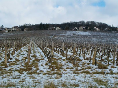 GAEC DES MURGERS - 71390, Vignoble à Saint-Désert