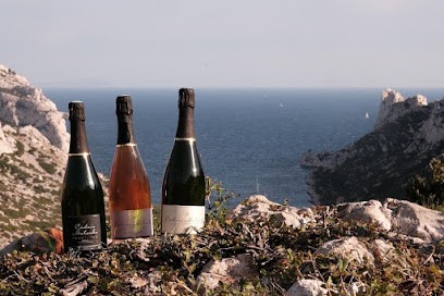 Champagne Gotorbe, Vignoble à Neuville-sur-Seine