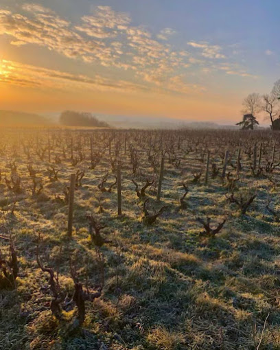 Domaine Les Souriants Vignoble à Cogny