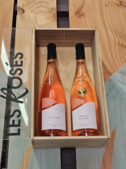 Gwénaël Bricard, Vignoble à Orée d'Anjou