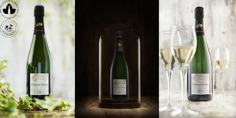 Champagne Christian MULLER, Vignoble à Mailly-Champagne