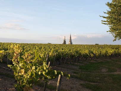 Château D'Epiré - Savennières, Vignoble à Savennières