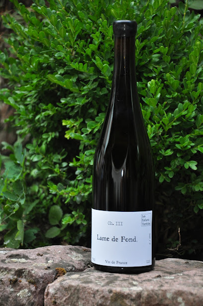 Les Enfants Terribles - Vigneron Vignoble à Kaysersberg Vignoble