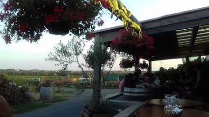 Villa Delmas, Vignoble à Saint-Thibéry