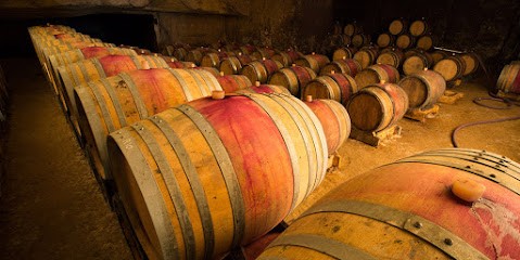 CALVEZ BOBINET, Vignoble à Saumur