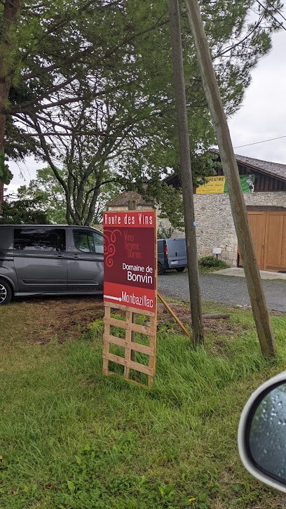 Domaine de Bonvin, Vignoble à Pomport