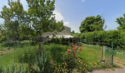 Moulin De La Marzelle EARL, Vignoble à Tauriac