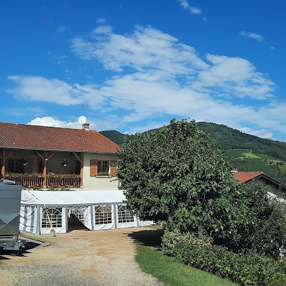 Perraud Jean-Yves, Vignoble à Vauxrenard