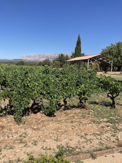Mas De Cadenet, Guy Négrel, Vignoble à Trets