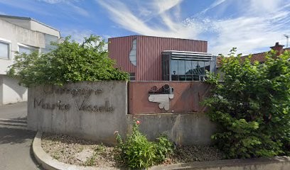 Vesselle Christian, Vignoble à Bouzy