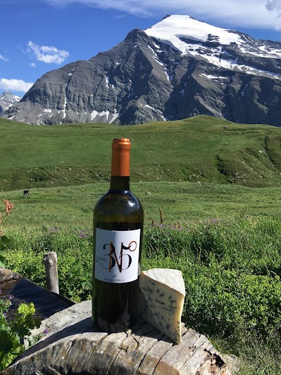 JACQUES FRELIN, Vignoble à Montpellier