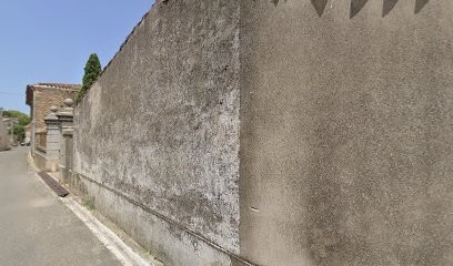 Domaines Luc Pirlet, Vignoble à Douzens