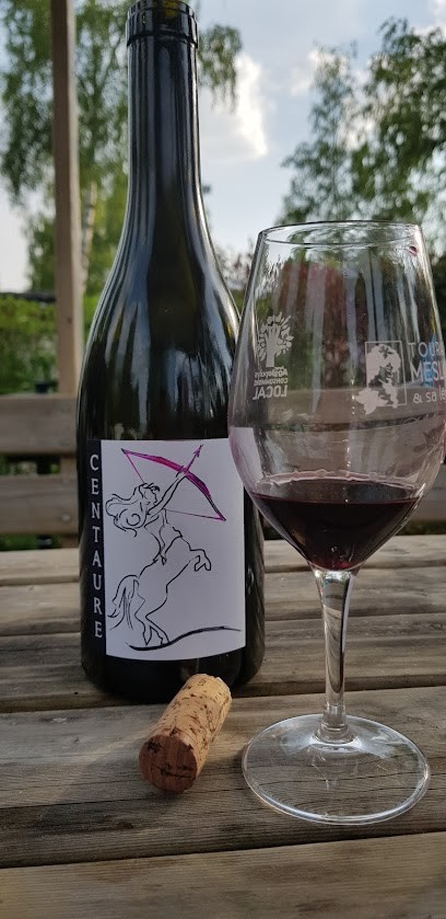 Divin Loire, Vignoble à Oisly