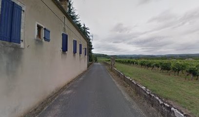 Earl Domaines Georges Delmas, Vignoble à Parnac