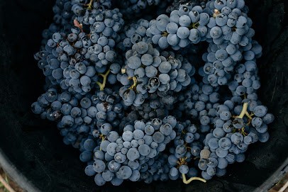 MAISON ROUSSEAU l ROUSSEAU FRERES, Vignoble à Esvres