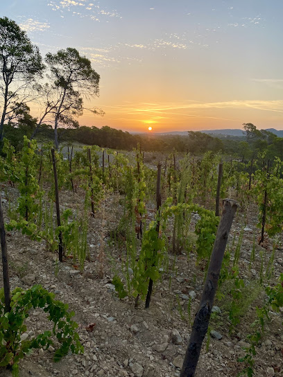 Colline Des Louves Vignoble à Valflaunès