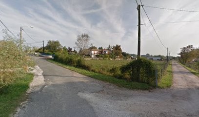 Lavaye Michel, Vignoble à Savignac-de-l'Isle