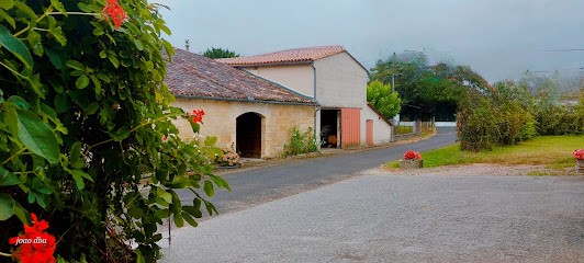 Vignobles Ordonneau, Vignoble à Saint-Genès-de-Fronsac